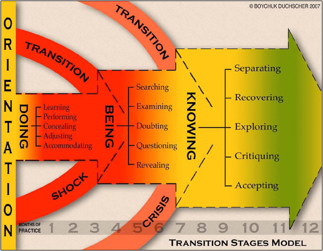 final_final_transition_stages_model.jpg